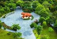 Tăng cường kiểm tra, giám sát bảo đảm an toàn trong quản lý cây xanh đô thị   