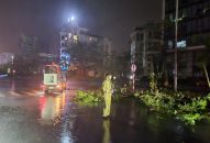 Hải Phòng: Thiệt hại nặng nề sau bão Yagi