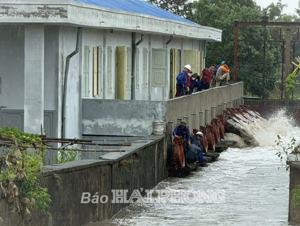 Trắng đêm tiêu úng, cứu lúa và hoa màu