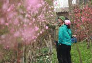 Bộ Nội vụ tán thành phương án nghỉ liền 9 ngày Tết 2025