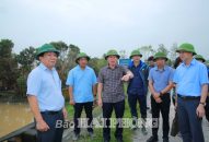 Đồng chí Lê Tiến Châu, Bí thư Thành ủy kiểm tra công tác khắc phục hậu quả bão số 3 và phòng, chống mưa lũ tại huyện Vĩnh Bảo