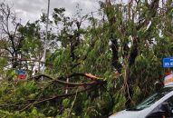 Thông tin sơ bộ về thiệt hại do bão số 3 gây ra trên địa bàn thành phố