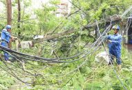 VNPT Hải Phòng – Tận tâm phục vụ khách hàng sau cơn bão số 3 (Yagi)