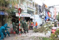 “Mệnh lệnh từ trái tim”