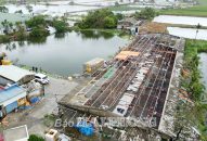 Chú trọng tái đàn để bảo đảm sản phẩm chăn nuôi