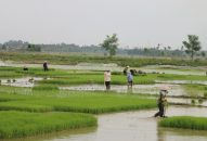 8 giải pháp bảo vệ nguồn nước sông Đa Độ, sông Giá