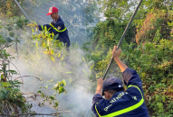 Thông tin về cháy thảm thực bì ở núi Sơn Đào, huyện Thuỷ Nguyên