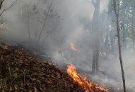 Tăng cường các biện pháp cấp bách phòng cháy, chữa cháy rừng trên địa bàn thành phố sau Bão số 3