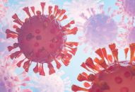 Bệnh Marburg diễn biến phức tạp, Bộ Y tế chỉ đạo khẩn