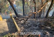 Quận Đồ Sơn kịp thời dập tắt đám cháy rừng