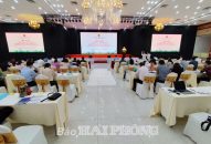 Hơn 200 cán bộ quản lý được tập huấn, tuyên truyền, bồi dưỡng kiến thức pháp luật về quyền tác giả, quyền liên quan