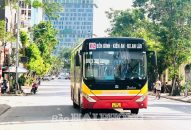 Chấm dứt quy hoạch phát triển mạng lưới xe buýt: Không ảnh hưởng đến vận tải hành khách