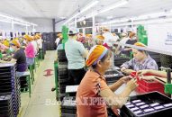 Thị trường việc làm những tháng cuối năm 2024: Dự báo việc nhiều, thu nhập ổn định