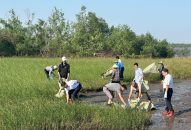 Huyện Tiên Lãng phát động chiến dịch làm sạch rác thải nhựa bờ biển Vinh Quang