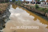 Sớm xác minh nguyên nhân gây ô nhiễm kênh Bắc Nam Hùng