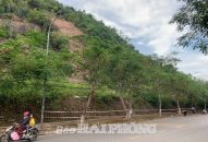 Cảnh báo nguy cơ sạt lở đất đồi, núi tại quận Đồ Sơn