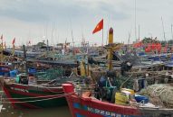 Tăng cường kiểm soát sản lượng khai thác thủy sản trên địa bàn thành phố