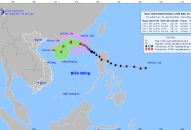 Tin bão trên biển Đông, cơn bão số 8, cập nhật 11h ngày 13/11/2024