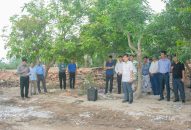 Cưỡng chế thu hồi đất đối với Công ty Cổ phần vận tải thủy số 3 tại xã Tân Dương, huyện Thủy Nguyên