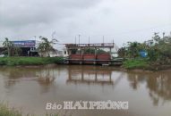 Chủ động lấy nước phục vụ gieo cấy lúa vụ Đông Xuân năm 2024-2025