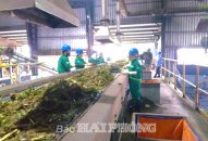 Công ty TNHH MTV Môi trường đô thị Hải Phòng: Đổi mới thu gom, xử lý rác thải