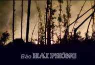 Thiệt hại 1,5ha rừng do cháy rừng tại núi Mã Chàng, xã Lưu Kiếm (huyện Thủy Nguyên)