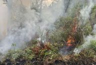 Thông tin về vụ cháy tại khu vực Núi Voi thuộc địa phận thôn Chi Lai, xã Trường Thành (huyện An Lão)