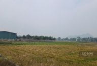 Cảnh báo các chiêu trò lừa đảo mua bán nhà đất