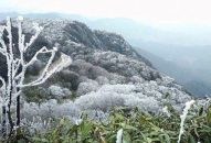 Tin không khí lạnh tăng cường, cập nhật ngày 16/01/2025