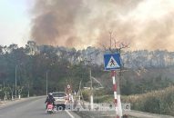 Quận Đồ Sơn kịp thời dập tắt đám cháy rừng tại Điểm cao quân sự đồi 46