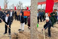 Chủ tịch UBND thành phố Nguyễn Văn Tùng dự phát động Tết trồng cây huyện Tiên Lãng Xuân ẤT Tỵ năm 2025
