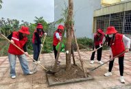 Công ty TNHH LG Display Việt Nam Hải Phòng tổ chức chương trình trồng cây hưởng ứng Tháng Thanh niên