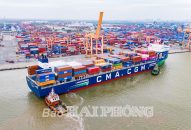Điều chỉnh giá dịch vụ cảng biển từ ngày 1/3/2025: Thêm nguồn lực nâng cao chất lượng dịch vụ