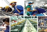 Kế hoạch hành động của Chính phủ về phát triển kinh tế tư nhân