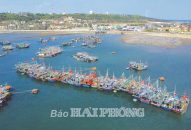 Các huyện Bạch Long Vĩ và Cát Hải: Cơ hội đột phá khi trở thành đặc khu