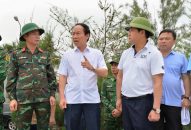 Bí thư Thành uỷ Lê Tiến Châu kiểm tra công tác phòng, chống Bão số 3 tại đặc khu Cát Hải, xã Hà Đông và phường Đồ Sơn