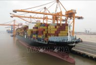 Chấp thuận chủ trương đầu tư 4 bến cảng Lạch Huyện với tổng số vốn 24.846 tỷ đồng