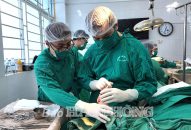 Thụ hưởng các dịch vụ y tế chất lượng cao: Nhân lên niềm vui của người dân thành phố Hải Phòng