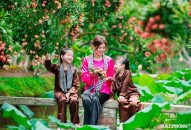 Du lịch Hải Phòng ‘làm mới’ mình