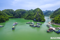 Du lịch Cát Bà bứt tốc