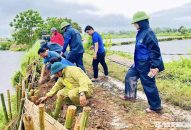 Hải Phòng phân cấp ngân sách để tăng tính tự chủ của địa phương