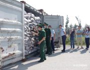 Bộ đội Biên phòng Hải Phòng bắt giữ container hàng hóa vận chuyển trái phép