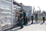 Bộ đội Biên phòng Hải Phòng bắt giữ container hàng hóa vận chuyển trái phép