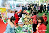 Đặc sắc Tuần Văn hóa, du lịch Côn Sơn – Kiếp Bạc