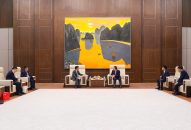 Lãnh đạo thành phố tiếp xã giao Đoàn công tác Công ty TNHH Điện tử thông minh TCL Việt Nam