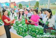 Ấn tượng Tuần Văn hoá, Du lịch và Xúc tiến thương mại tại Lễ hội mùa thu Côn Sơn – Kiếp Bạc