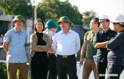 Quyết liệt giải phóng mặt bằng các dự án trọng điểm phía tây Hải Phòng