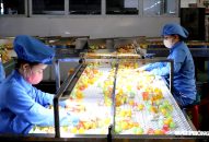 Công nghiệp Hải Phòng tăng tốc, IIP 10 tháng tăng hơn 15%