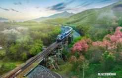 Hành động quyết liệt giải phóng mặt bằng Dự án đường sắt Lào Cai – Hà Nội – Hải Phòng