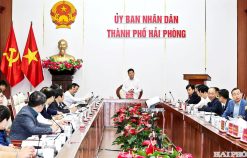 Cải tạo, tu bổ đền thờ Nguyễn Bỉnh Khiêm và Khu di tích Côn Sơn – Kiếp Bạc xứng tầm, phát huy giá trị